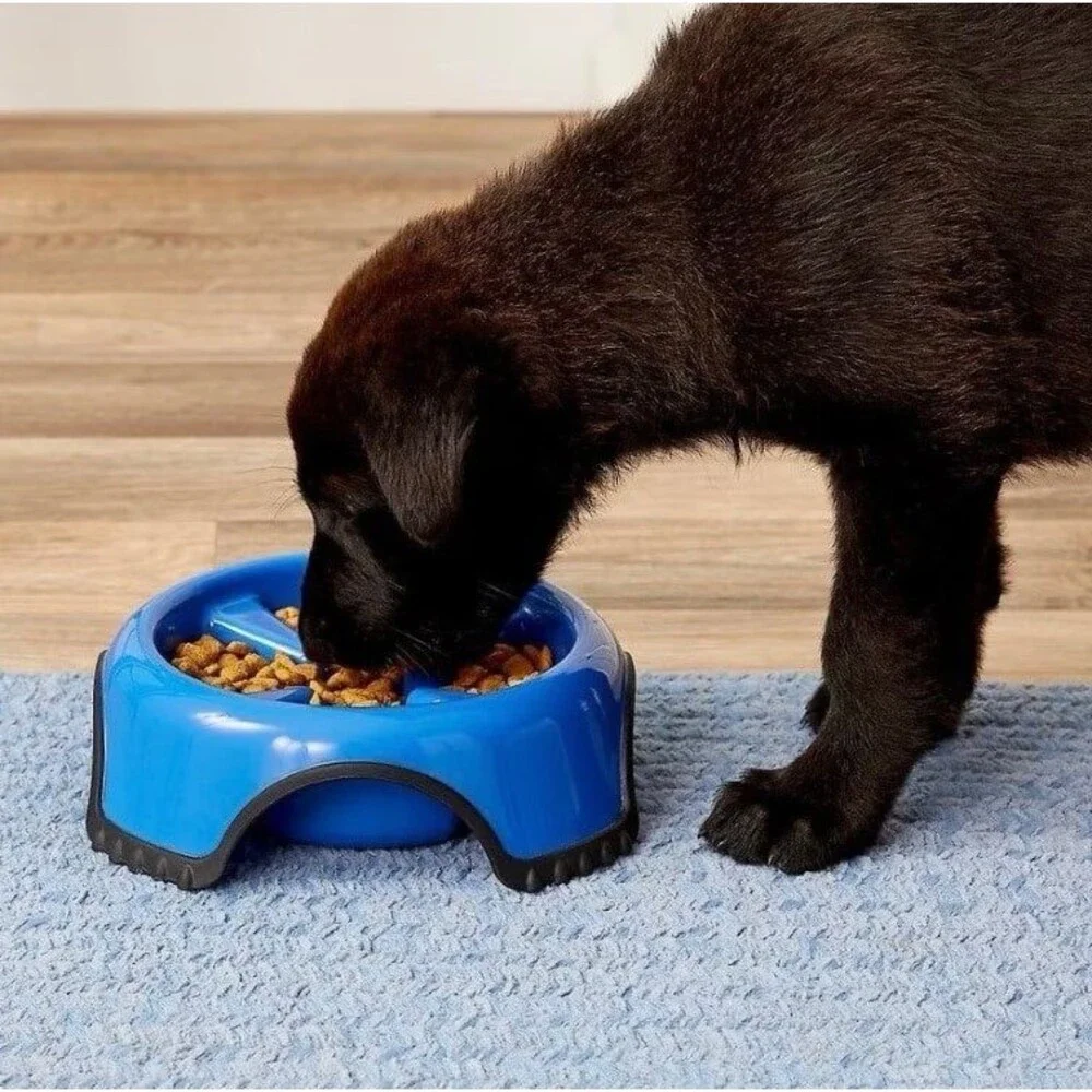 JW Pet Skid Stop Non-Skid Plastic Slow Feeder Dog Bowl 3-cup Large Blue NEW (A2)